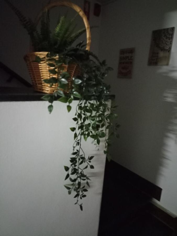 Hostel Vilarade Portimao Exterior photo